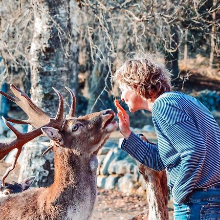 Damwildfarm In Rollerbue Suedschweden Villa Tyringe Ngoại thất bức ảnh
