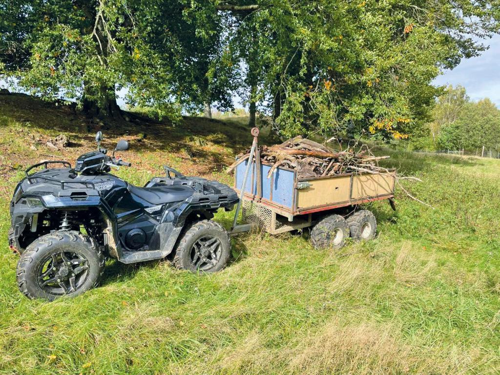 Damwildfarm In Rollerbue Suedschweden Villa Tyringe Ngoại thất bức ảnh