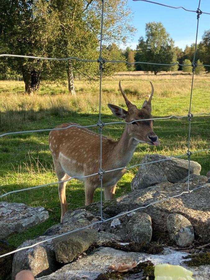 Damwildfarm In Rollerbue Suedschweden Villa Tyringe Ngoại thất bức ảnh