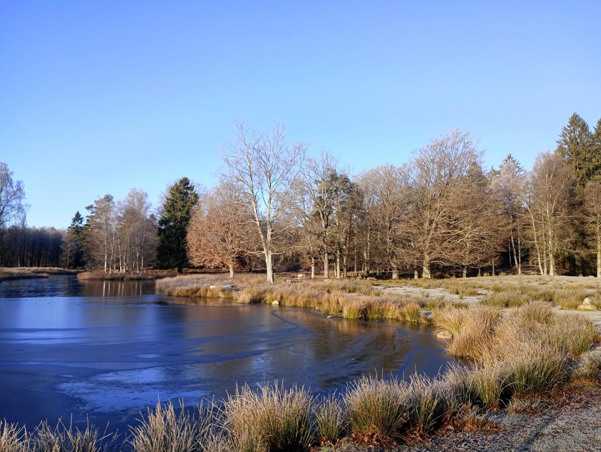 Damwildfarm In Rollerbue Suedschweden Villa Tyringe Ngoại thất bức ảnh